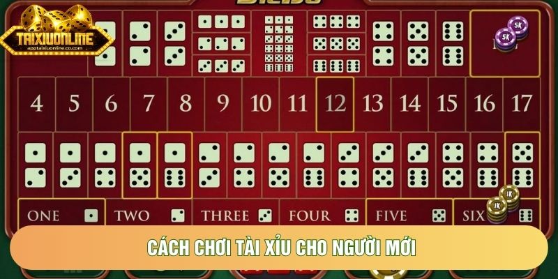 Cách Chơi Tài Xỉu Cho Người Mới Chuẩn Nhất 2026