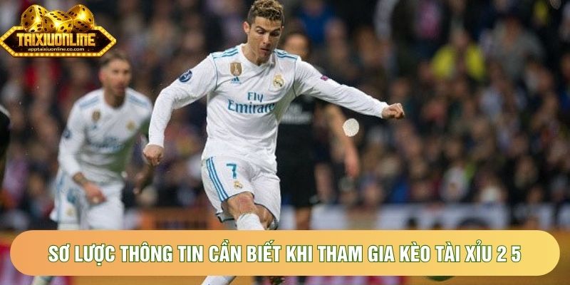 Sơ lược thông tin cần biết khi tham gia kèo tài xỉu 2 5